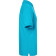 color:turquoise