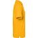 color:gold-yellow