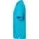 color:turquoise